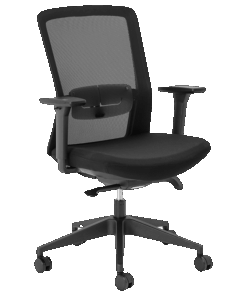 Aila Ergo Mid Back Chair