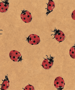 Ladybird on Brown Tissue Roll (50m)