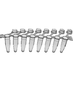 PCR Strips and Caps – 0.2ml 8 Strip with flat cap 125pk size