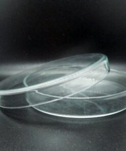 Petri Dish Glass 100mm