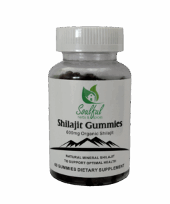 Shilajit Gummies (60) X 2