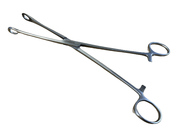 RAMPLEY SPONGE HOLDING FORCEPS25cm