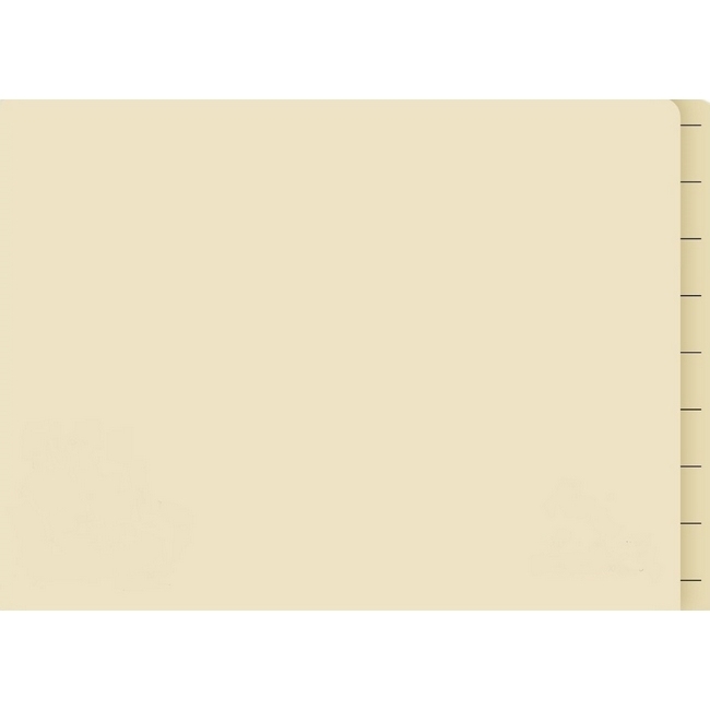 Lateral Document Files - Foolscap - Heavy Weight - 233gsm - Pack of 180 - FILLHW400