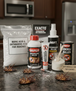 Spraying For Cockroaches