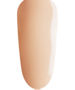 #17 BIAB Mini