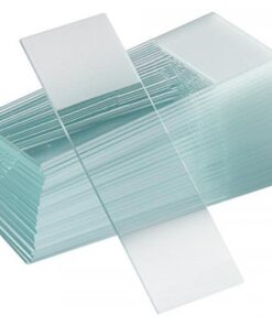 Microscope Slide Plain 10’s