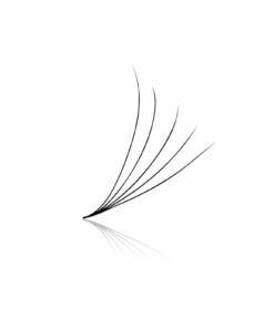 5D Pre-made Volume Fans - Loose 500's