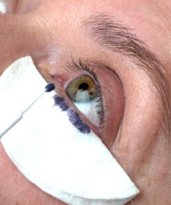 Nouveau Lashes Lash Tint Online Training Course