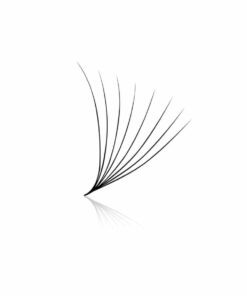 8D Pre-made Volume Fans - Loose 500's