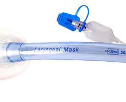 Laryngeal Mask Airway (Disposable)