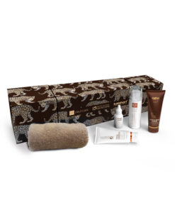 Kalahari Leopard Gift Pop