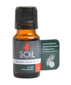 SOiL Organic Pine Essential Oil 10ml