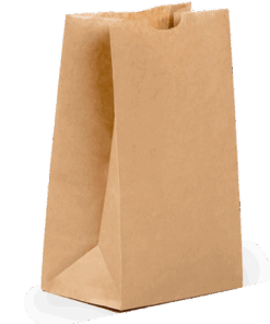 Small Plain Paper Bag