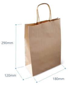 Small Paper Shopping Bag