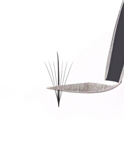 Wispy Lashes - 9D