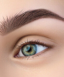Refectocil Brow Artist Masterclass - One-on-one