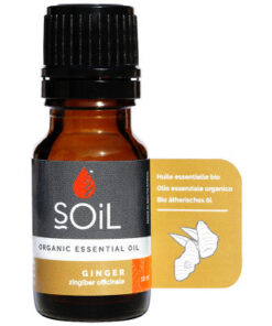 SOiL Organic Ginger Essential Oil 10ml