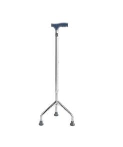 Walking Stick ? Tripod