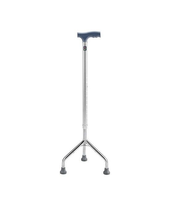 Walking Stick ? Tripod