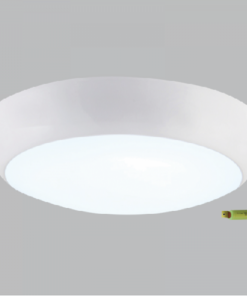 Ceiling Light - CF132 Emergency