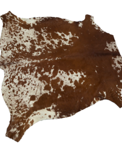 Animal Skin - Cow Skin Nguni