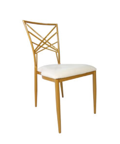 Chameleon Chairs - Matt Gold Aluminium