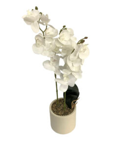 Artificial Plants - Potted Orchid