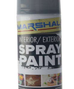 Spray Paint Machine Grey 350ml Grey