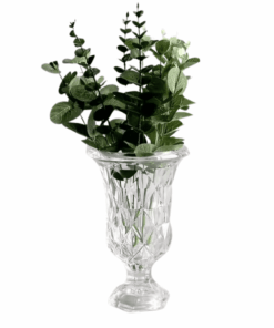 Elegant Glass Vase – Tulip 18cm