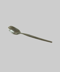 Serving Spoon Long Handle